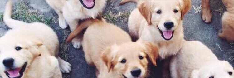 Closed. banner