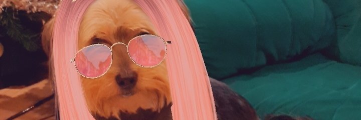 alejandroffdezz's profile banner image
