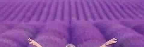 CENKFIRAT's profile banner image