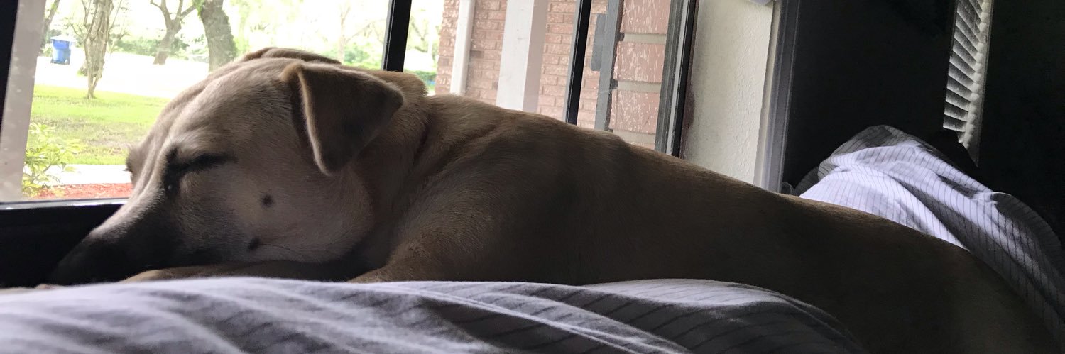 AudreyShamblen's profile banner image