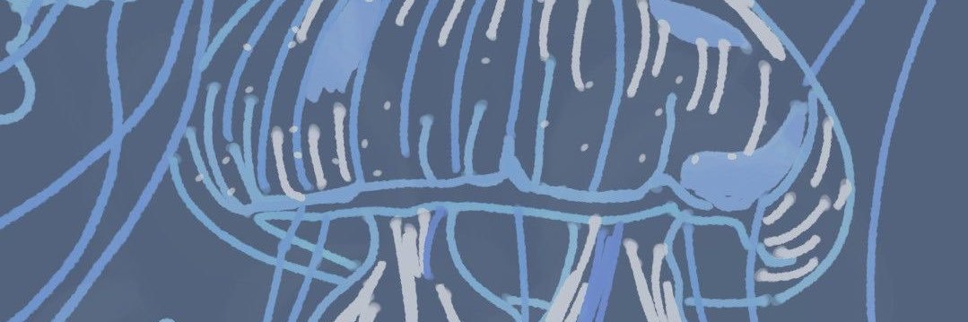 jengigiu's profile banner image