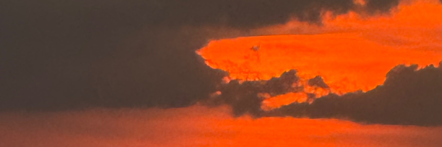 sksambo's profile banner image