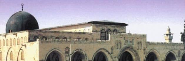 m_ragab7's profile banner image