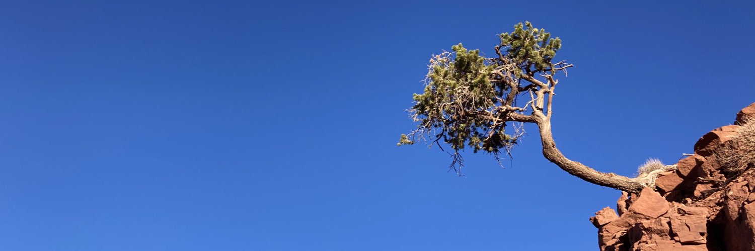 connorapainter's profile banner image