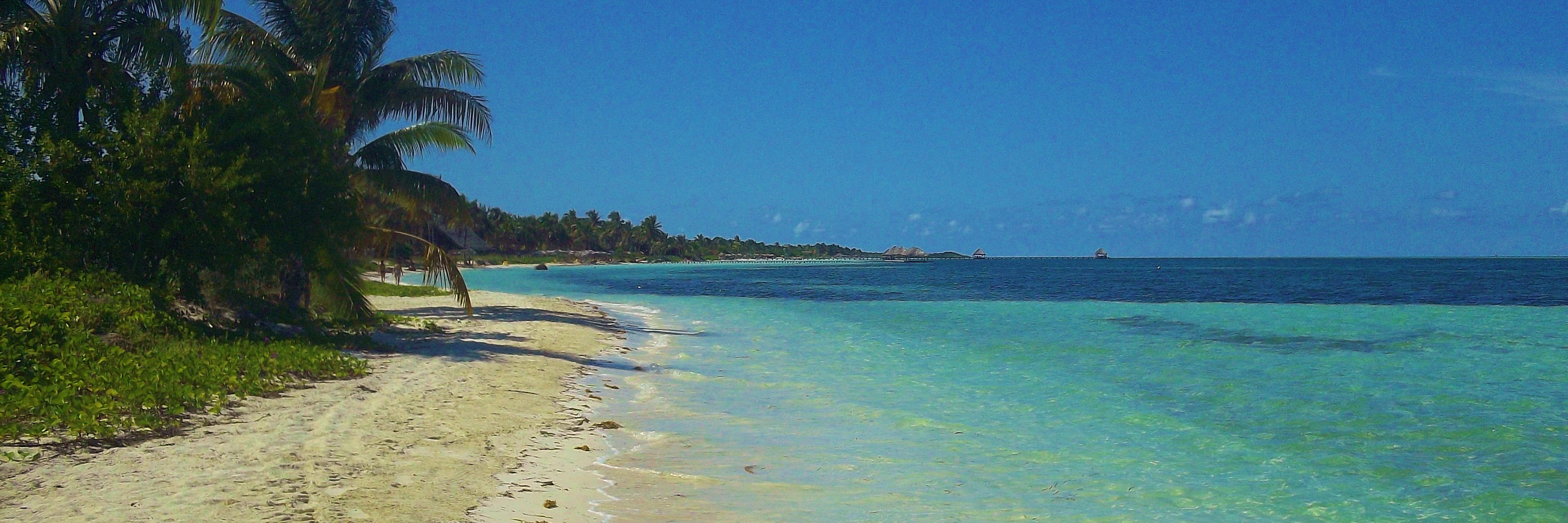 Jdubb09911's profile banner image
