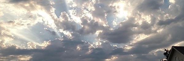 rice_ber Profile Banner