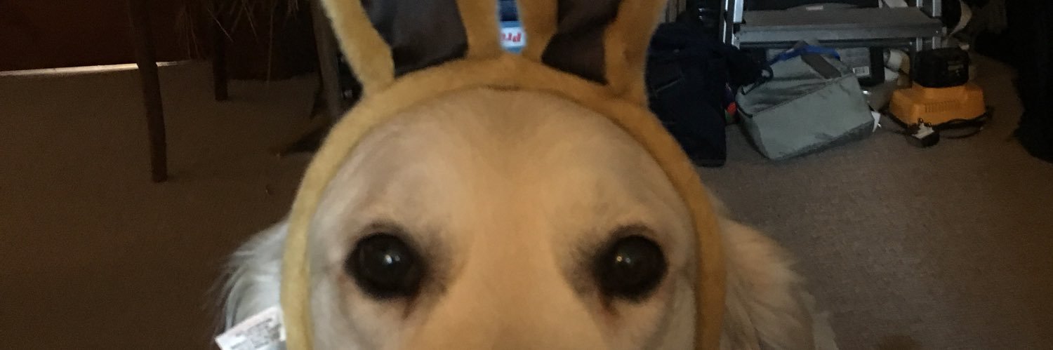 michael mcdaid banner