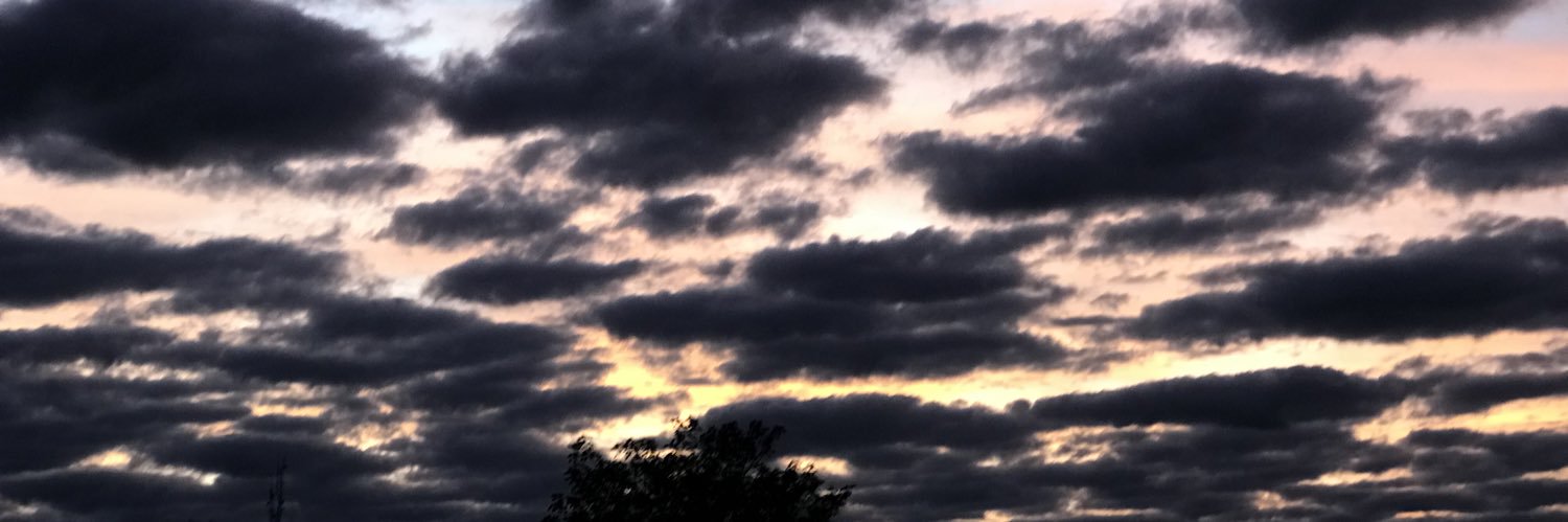 Solfontanella_'s profile banner image