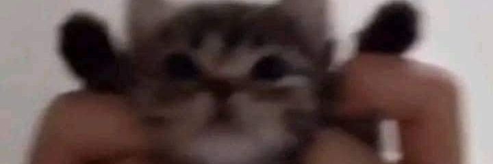 HALGEL's profile banner image