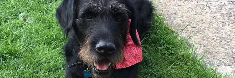 heyitisamber's profile banner image