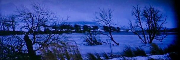 Miranda Solana banner