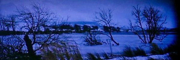 MirandaSolana Profile Banner