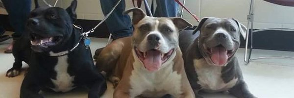 booeyman32 Profile Banner