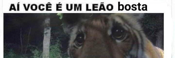 teteu banner