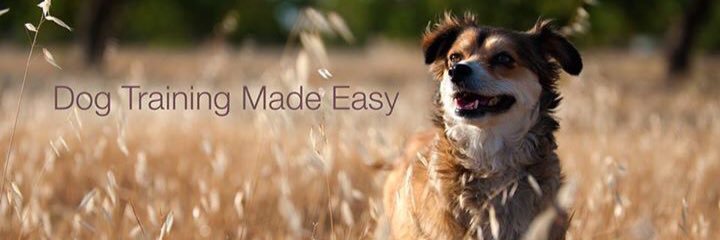 PetSpotPro's profile banner image