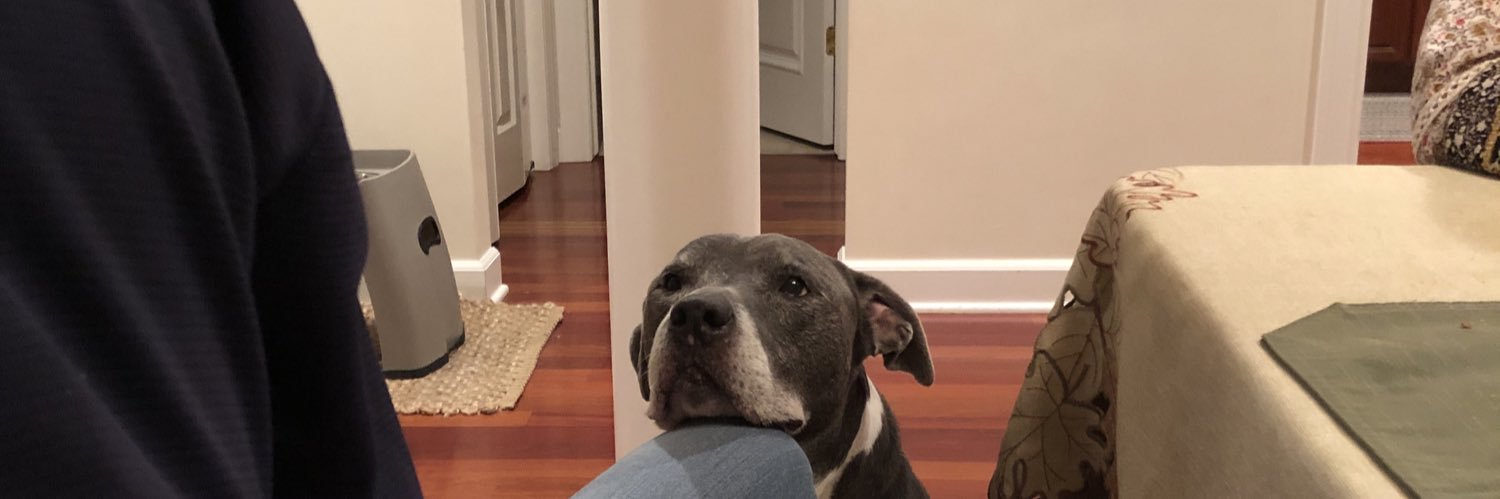 dsessler44's profile banner image