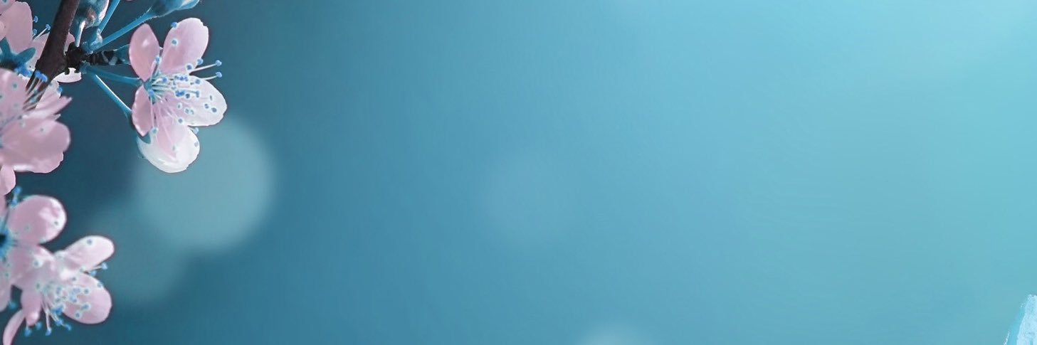 bilgeselcenn's profile banner image