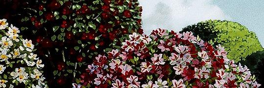 VIRIDlANFOREST's profile banner image