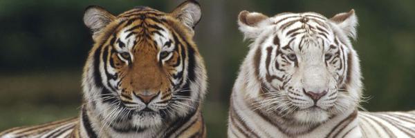 solmyworld Profile Banner