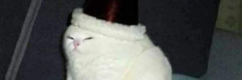 rob_sheep's profile banner image