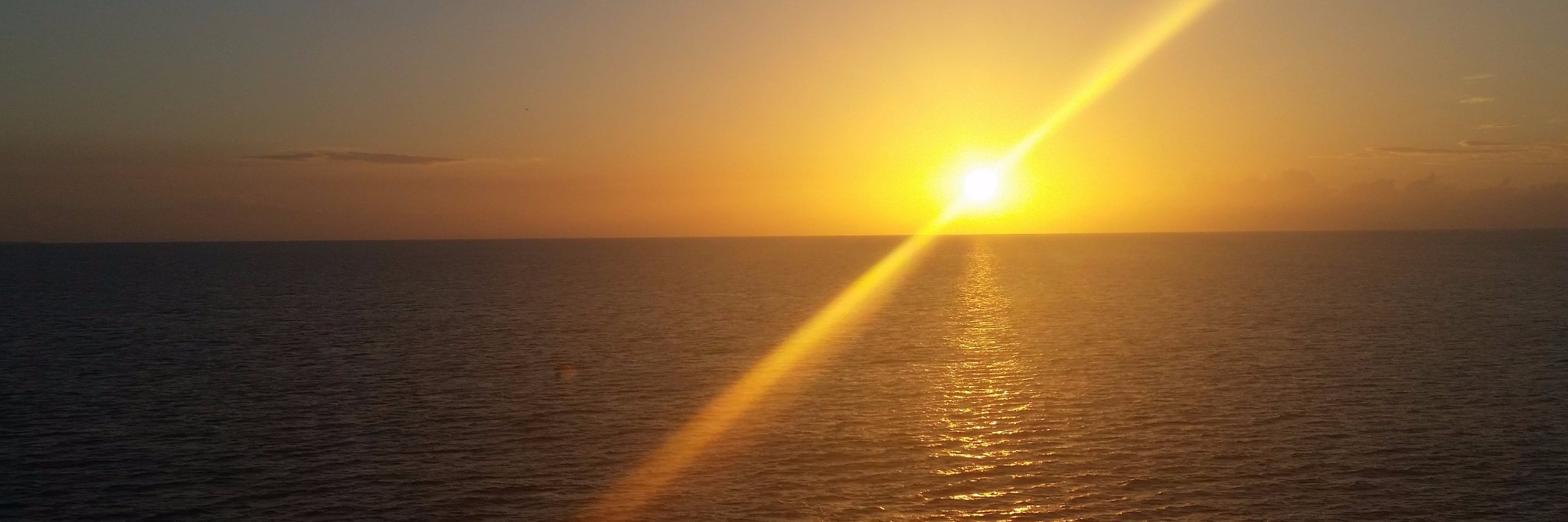 nwcgina's profile banner image