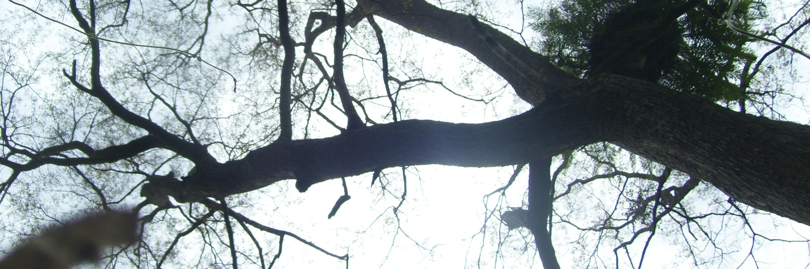 4gus1973's profile banner image