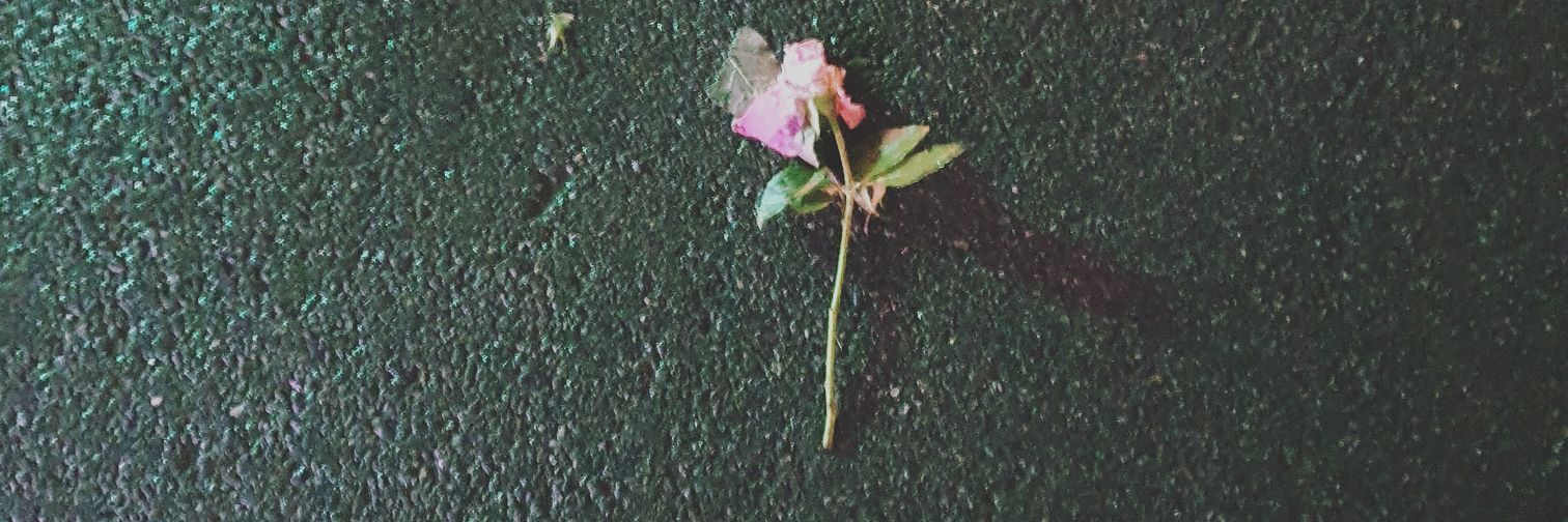 bastard_____'s profile banner image