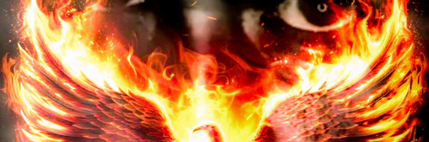 Hoosier_Stew's profile banner image