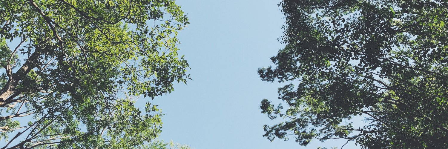 Delayman0920's profile banner image
