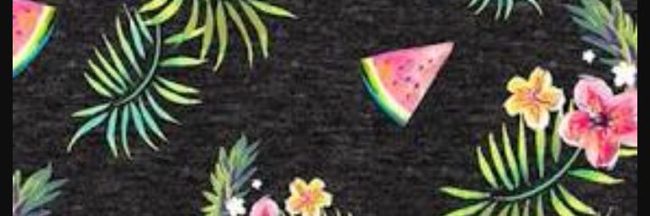 NoiteFlor's profile banner image