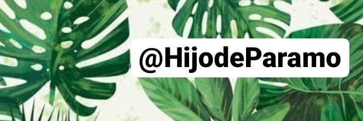 HijodeParamo's profile banner image