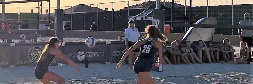 Nighthawk Beach Volleyball banner