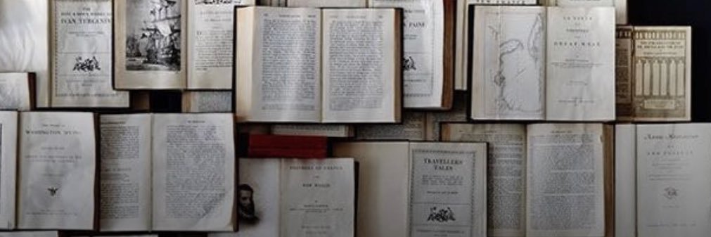 nghs_RaiderLibrary banner