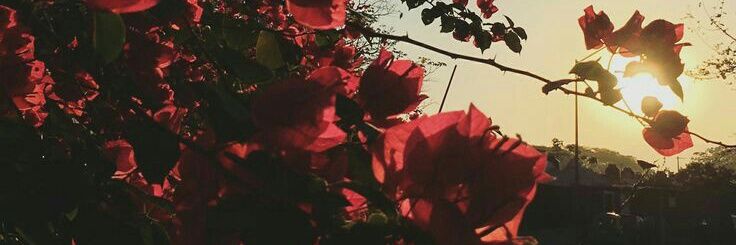 JohnCassuri's profile banner image