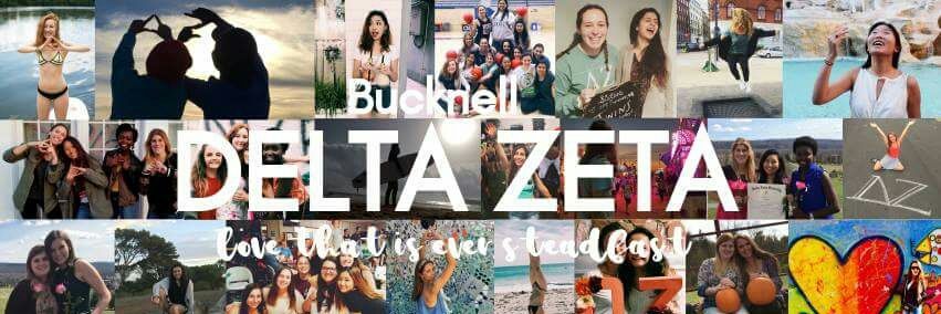 DZ_Bucknell's profile banner image