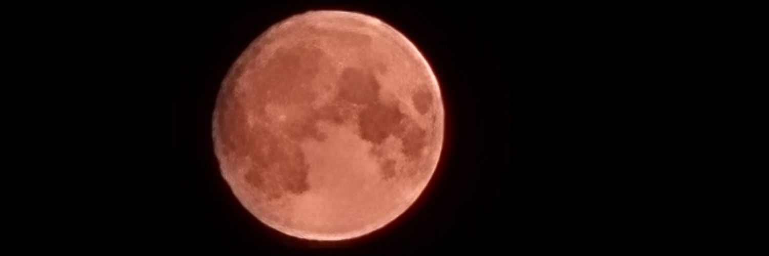FH_Nico06's profile banner image