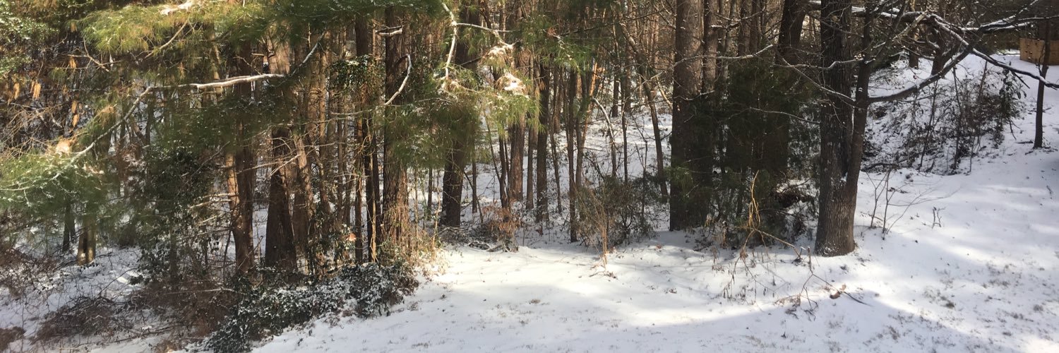 Pam 🚩🇵🇸 banner