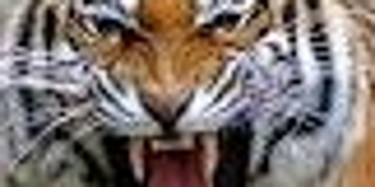 satya2527's profile banner image