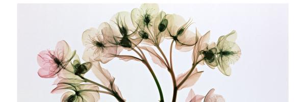 pattygs12's profile banner image