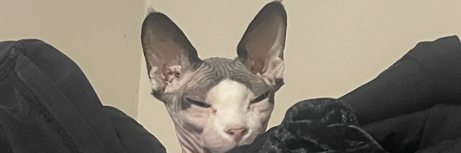 gengargurl's profile banner image