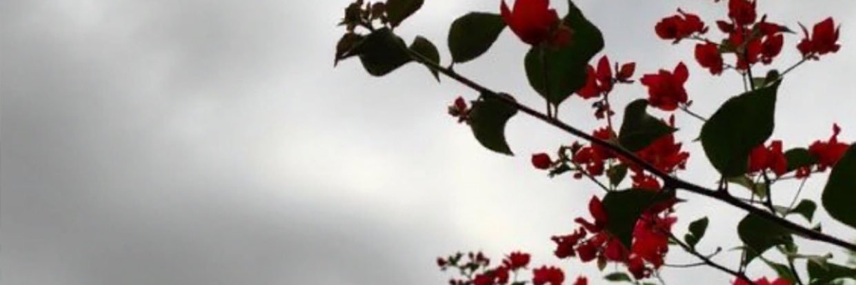 aaees1231's profile banner image