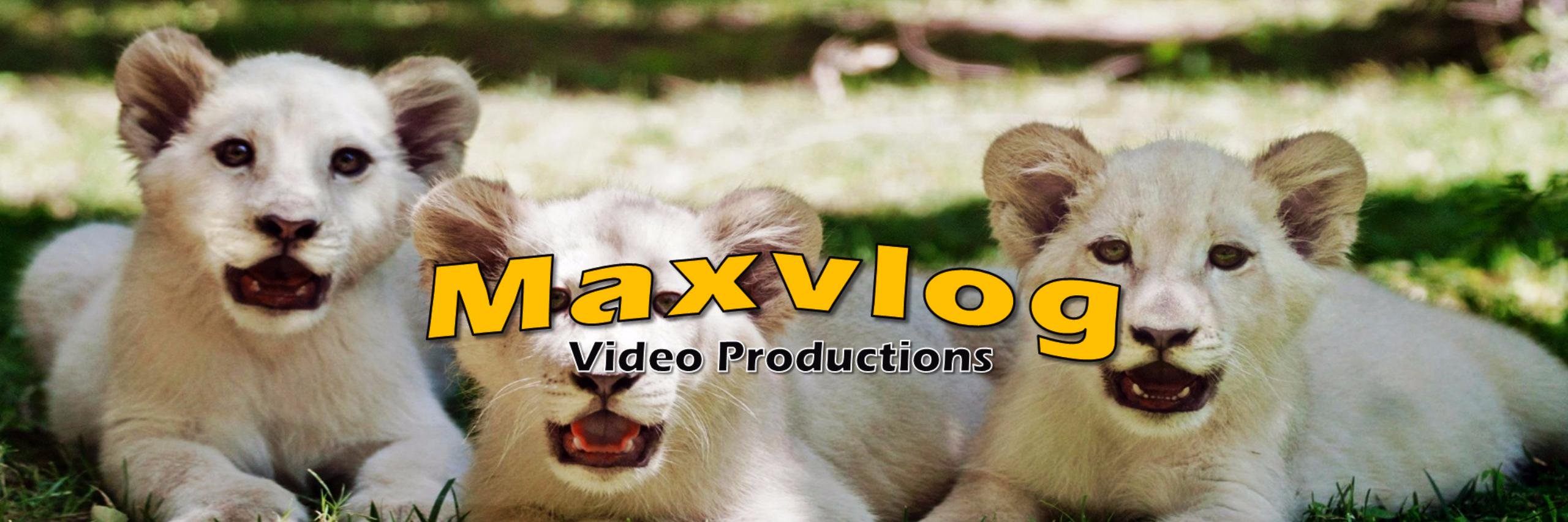 maxvlog24's profile banner image
