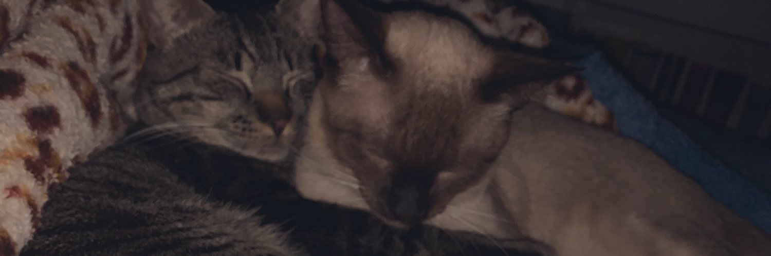 cwcuds's profile banner image