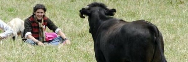 jfhtorero's profile banner image