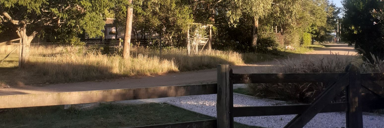 federico sosa machó banner