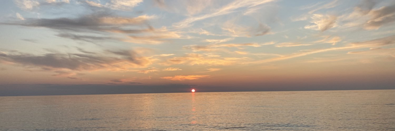 Bryn Wilkinson Wulf banner