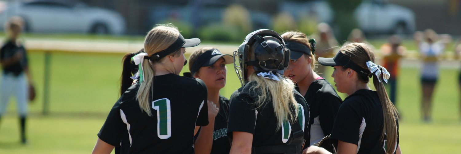Woodland Softball banner