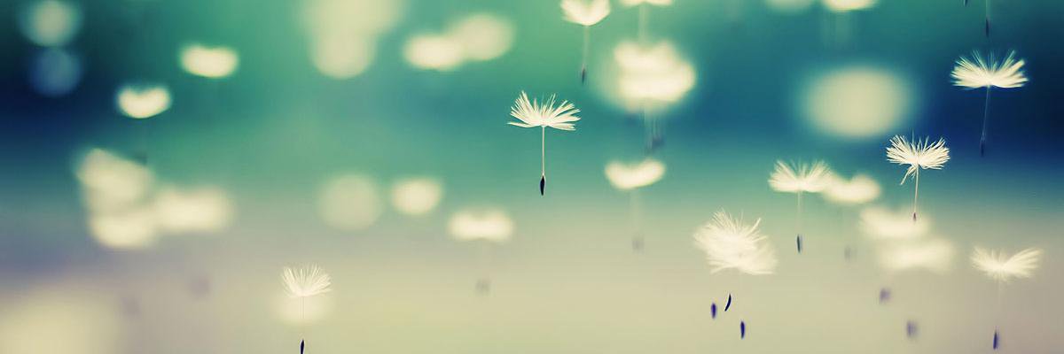 EvergreenQuotes's profile banner image