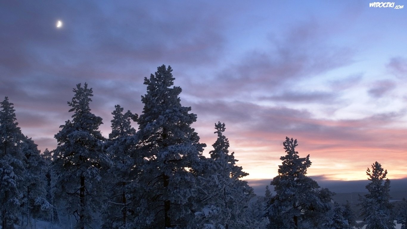 avlisniktal's profile banner image