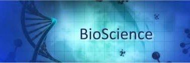 BIOSIreps's profile banner image